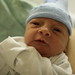 Vincent Parente Photo 11