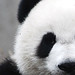 Way Cheng Photo 18