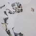 Robert Bornstein Photo 26