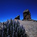 Roque Luna Photo 27