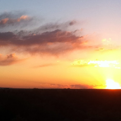 Connie Sprague Photo 10