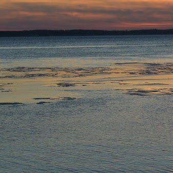 Marie Royer Photo 14