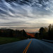 Danny Morrison Photo 36