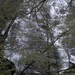 Helen Davis Photo 45