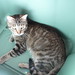 Francine Green Photo 38