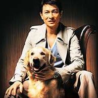 Kai Chan Photo 5