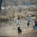Faye Johnson Photo 43