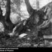 George Hale Photo 46