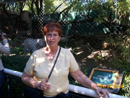 Patricia Welch Photo 19