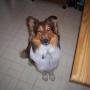 Michael Stango Photo 15