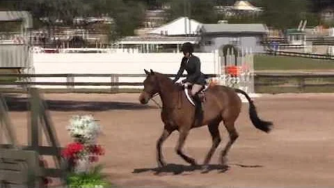 Holly Bossert Photo 6