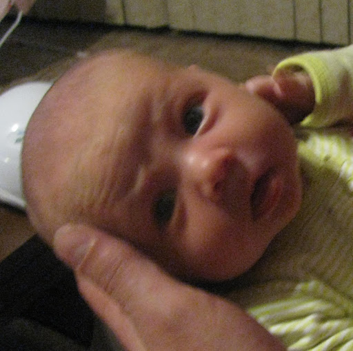 Elizabeth Robbins Photo 12