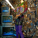 Robert Neiman Photo 25
