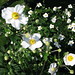 Russell Merrell Photo 11