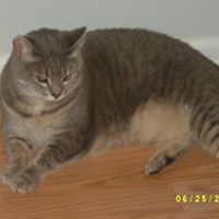 Mary Marrs Photo 2