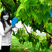 Melissa Macdonald Photo 44