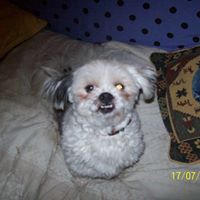 Mandy Heath Photo 3