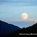 Duane Opp Photo 12