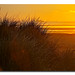 Helen Beach Photo 27