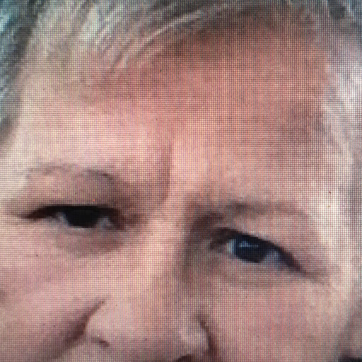 Sheila Brandt Photo 3