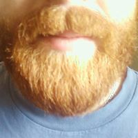 Ginger Beard Photo 3