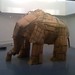 Joseph Hyland Photo 29