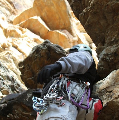 Andrew Hutchinson Photo 12