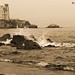 Sal Torre Photo 23