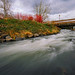 Eugene Rush Photo 26