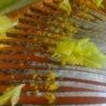 Charlie Blevins Photo 10
