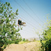 Keith Mulligan Photo 37