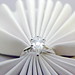 J Diamond Photo 28