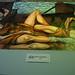 Richard Bloomfield Photo 41