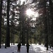 Keely Nelson Photo 30