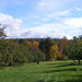 Vernon Mcintosh Photo 17