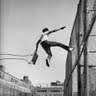 Leroy Lee Photo 14
