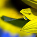 Matthew Thies Photo 29