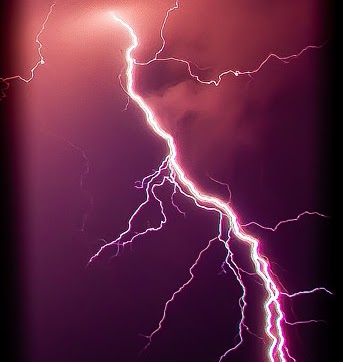 Tamara Weeks Photo 8