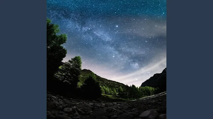 Curtis Stoddard Photo 17