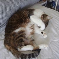 Peggy Ross Photo 5