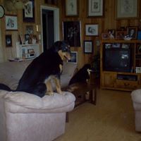 Janet Lynn Photo 5