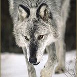 Kevin Hockett Photo 3