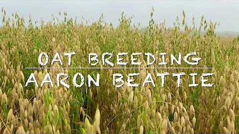 Aaron Beattie Photo 29