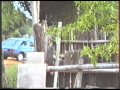 Alfredo Pelaez Photo 18