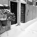 Marcos Cortes Photo 35