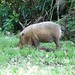 George Bakos Photo 15