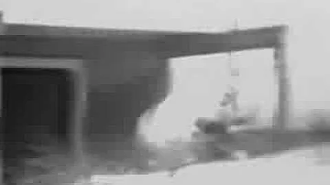 Lee Feldman Photo 37