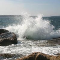 Mark Oman Photo 5