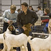 David Pettus Photo 32