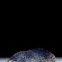 Darin King Photo 29